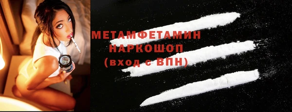 прущие грибы Краснотурьинск