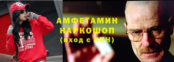 прущие грибы Краснотурьинск