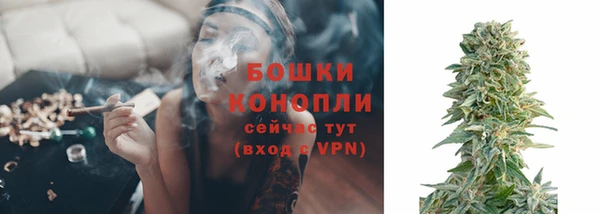 тгк Краснослободск