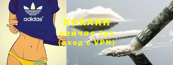 прущие грибы Краснотурьинск