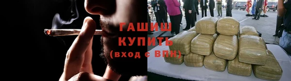 прущие грибы Краснотурьинск