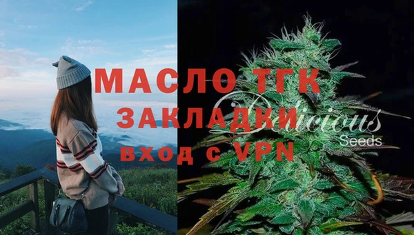 прущие грибы Краснотурьинск