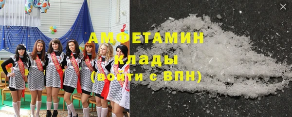 прущие грибы Краснотурьинск