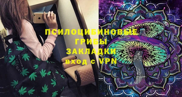 прущие грибы Краснотурьинск