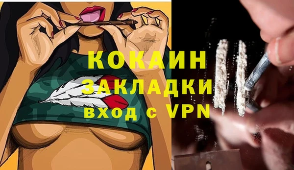прущие грибы Краснотурьинск