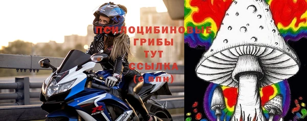 тгк Краснослободск