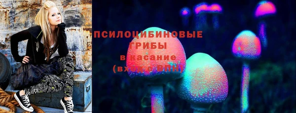 прущие грибы Краснотурьинск